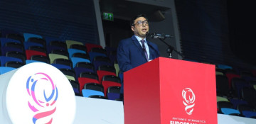 President Ilham Aliyev provides substantial support to sports - minister